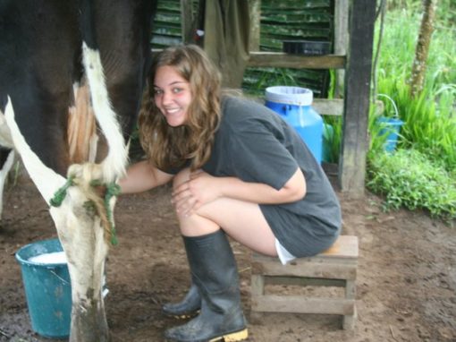 Cloud forest conservation project