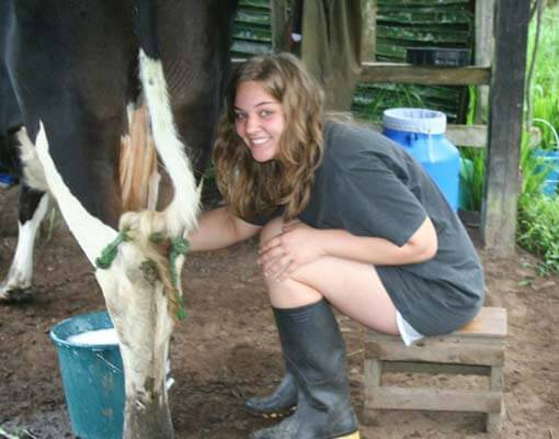 Cloud forest conservation project