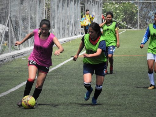 Sports Health in a Technical Director-Specific Soccer Institute