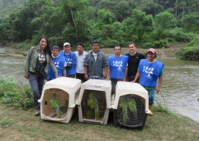 Conservation and bird’s species reintroduction