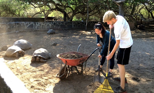 Social projects in the Galapagos