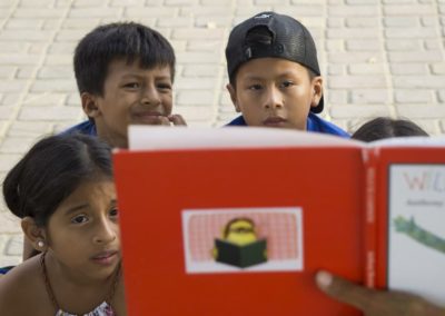 Blog and web page management and translation for a children’s literacy NGO