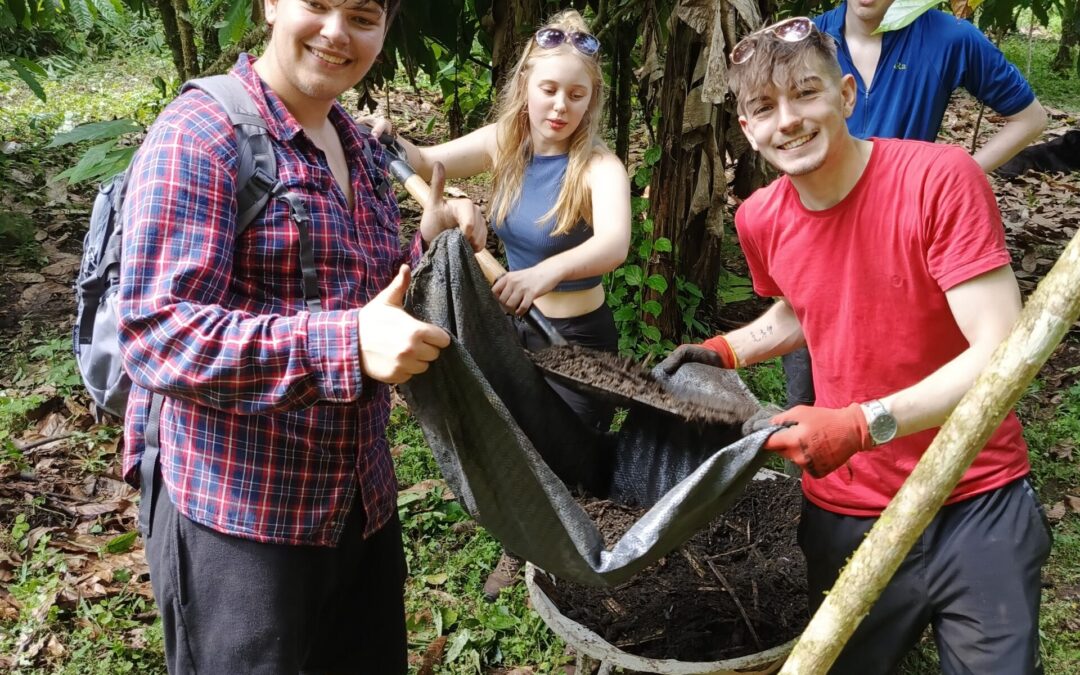 Permaculture and edible forests project
